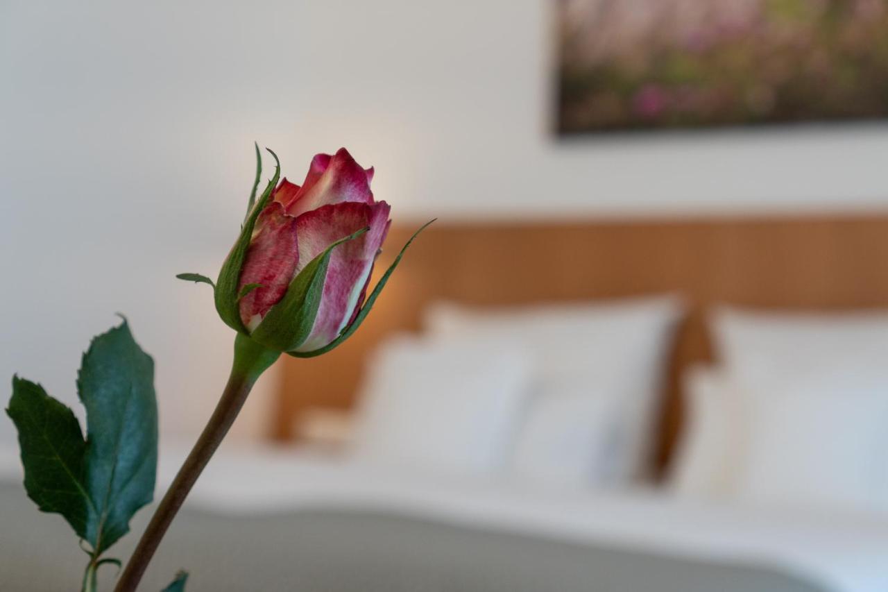 Hotel Elysee Seligenstadt Esterno foto